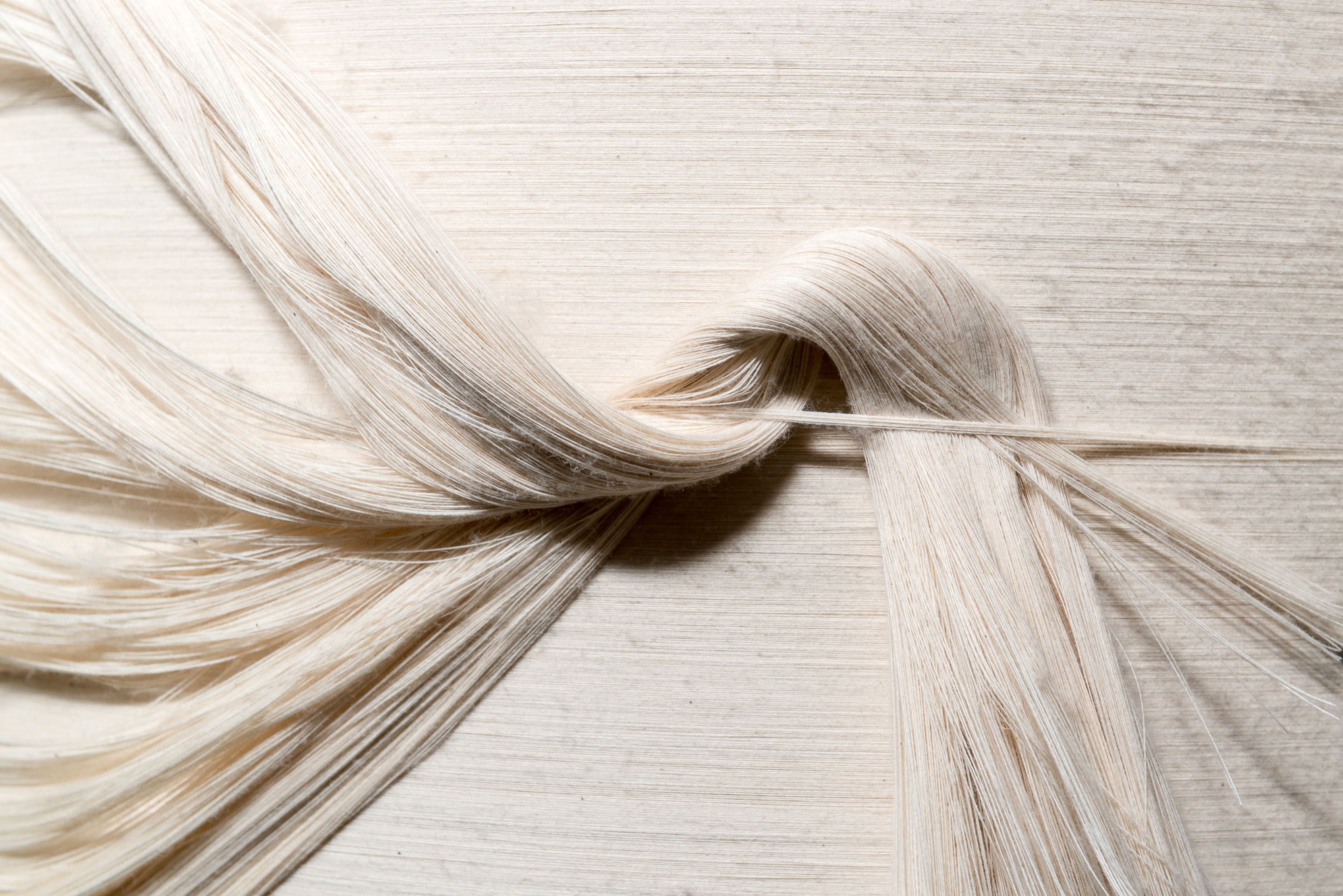 Quelle est l&rsquo;origine des fibres utilisées pour fabriquer le lin ?