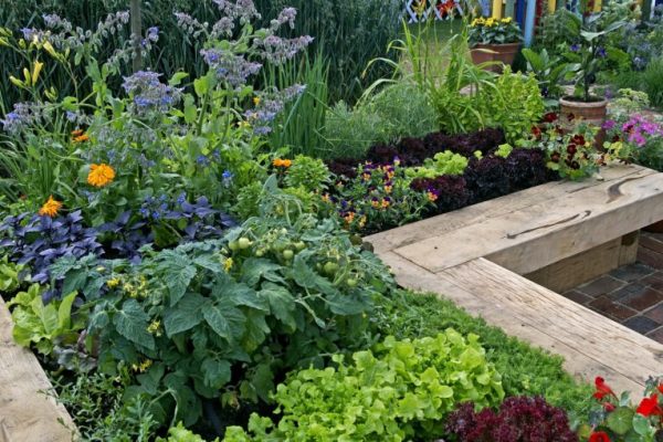 Quand commencer un jardin en permaculture ?