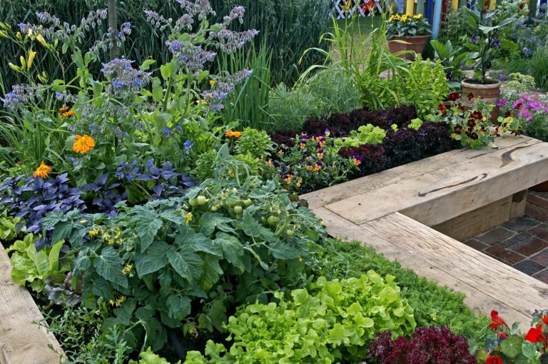 Quand commencer un jardin en permaculture ?
